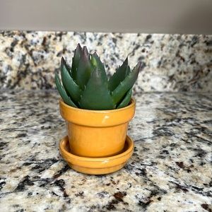 Mini Faux Cactus